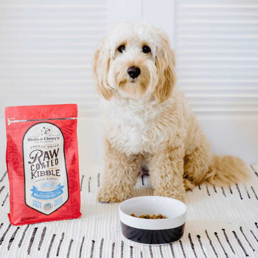 Raw Coated Dog Kibble Whitefish F860