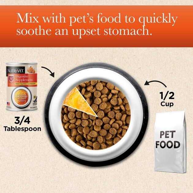 Pumpkin Puree Digestive Supplement for Cats & Dogs E581