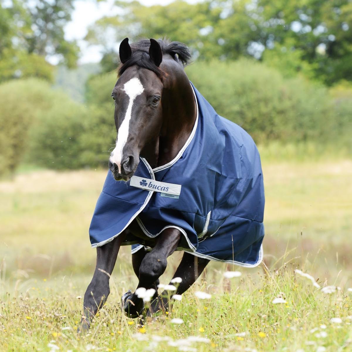 Navy 300g Turnout T826