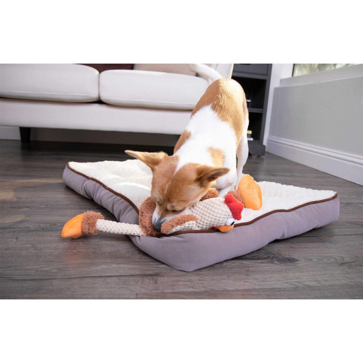 Skinny Rooster Dog Toy R678385