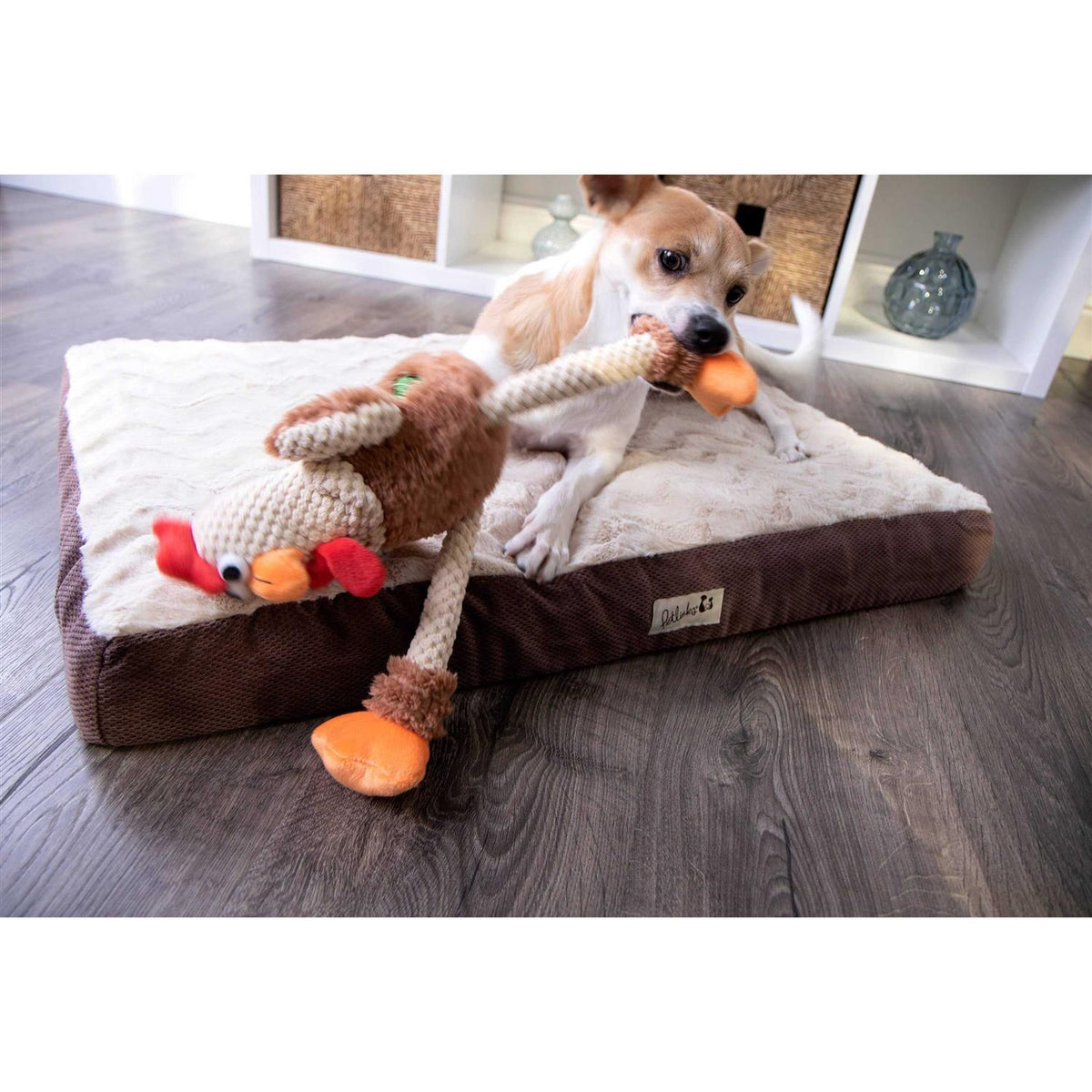 Skinny Rooster Dog Toy R678385