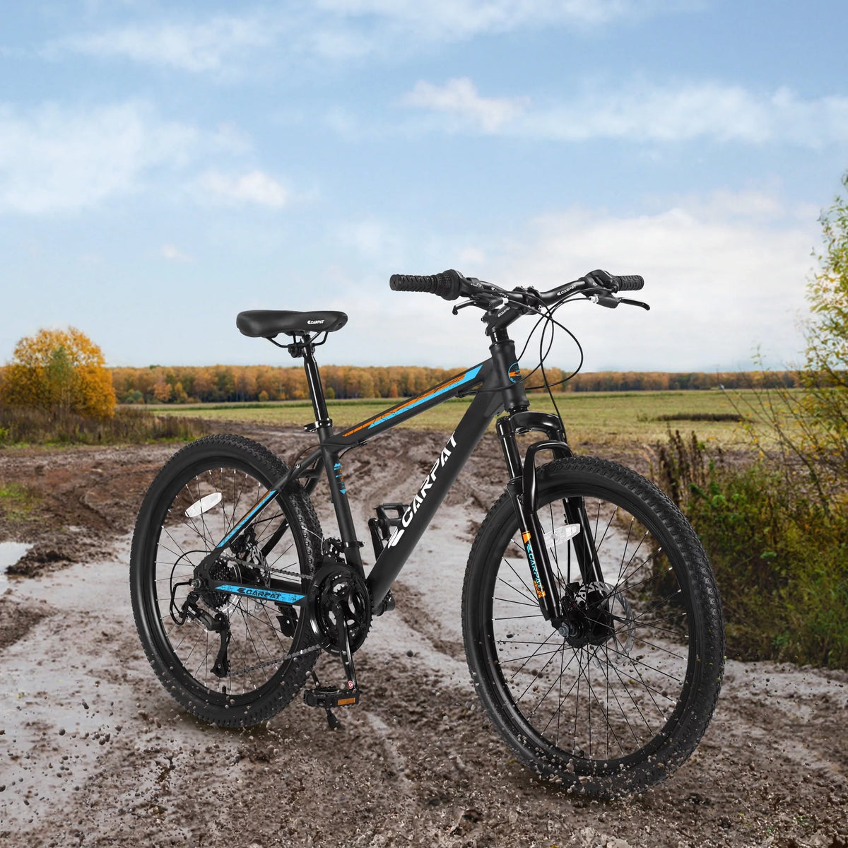 26 Mountain Bike 21 Speeds with Mechanical Disc Brakes P77379