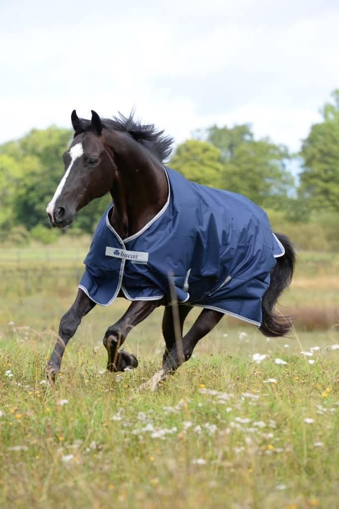 Navy 300g Turnout T826