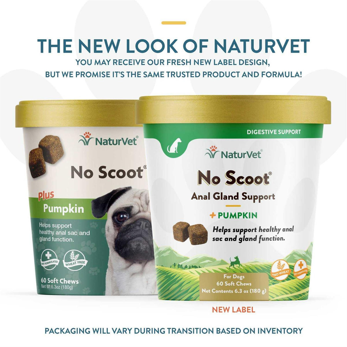 Pumpkin Soft Chew Q2311