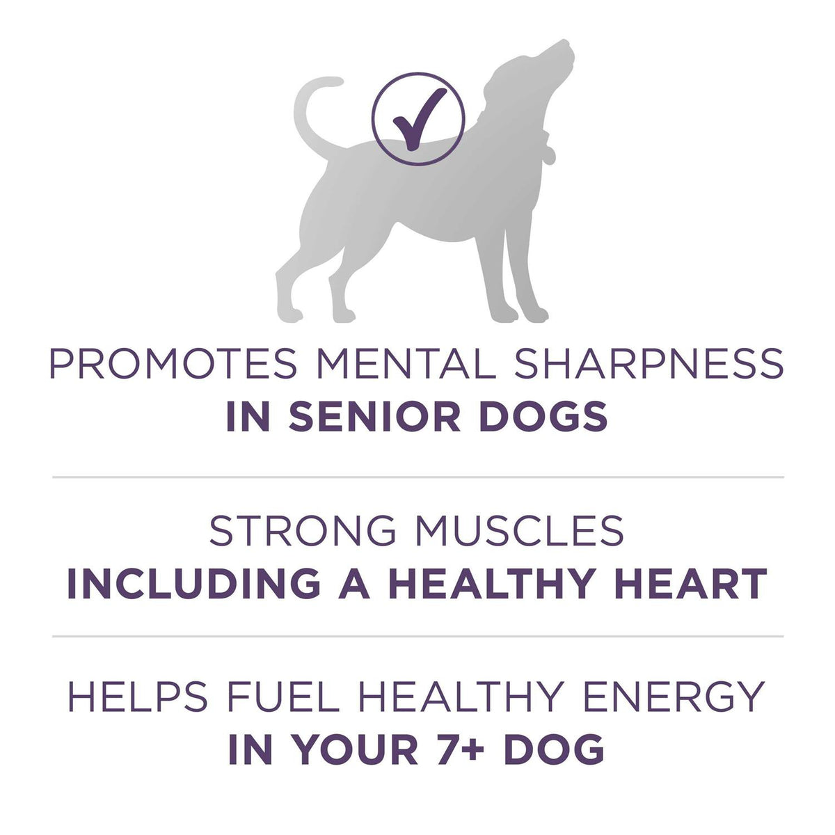 Adult Dry Dog Food H7192