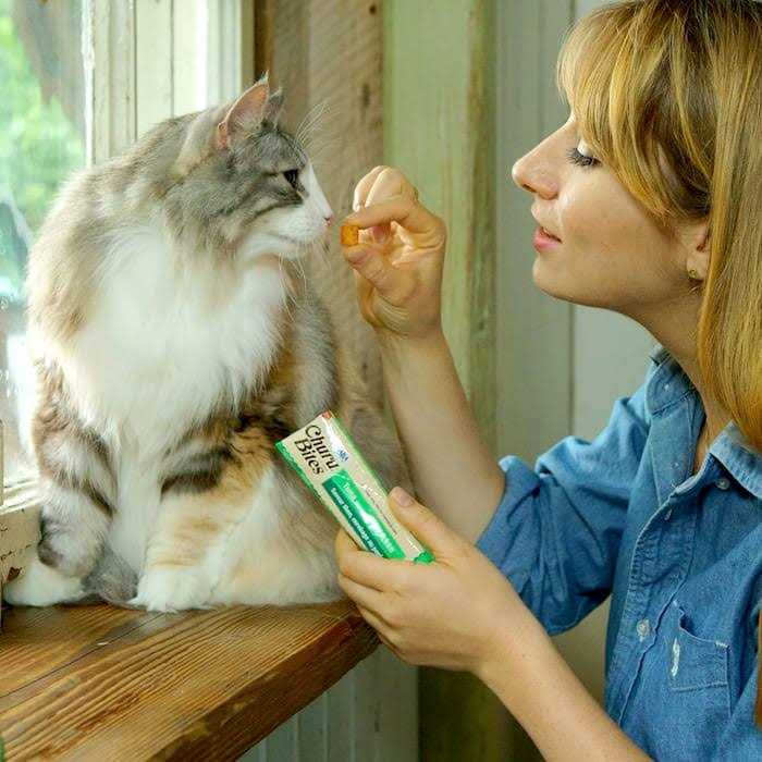 Chicken Recipe Cat Treat T227110