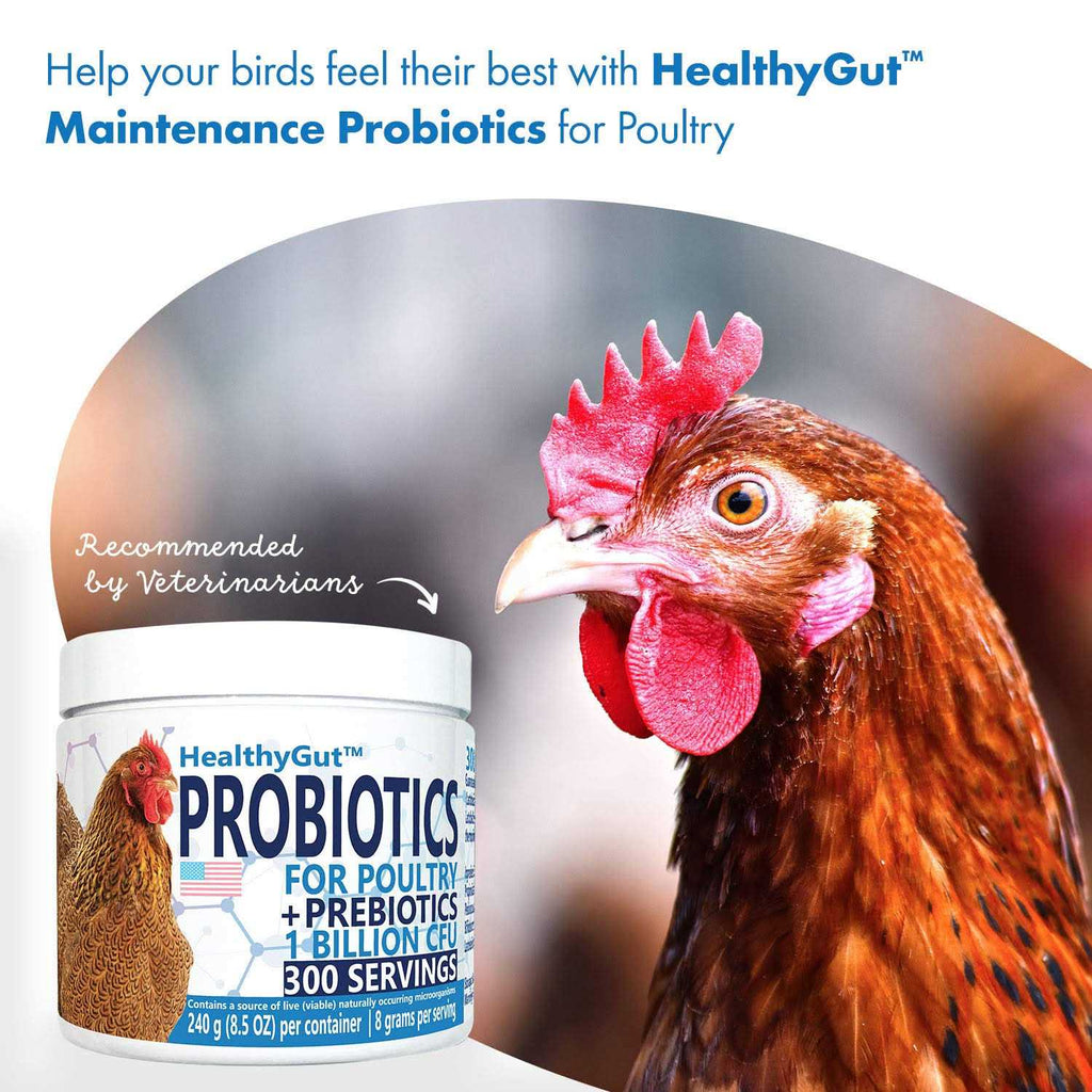 Probiotics for Chickens & Poultry H48295