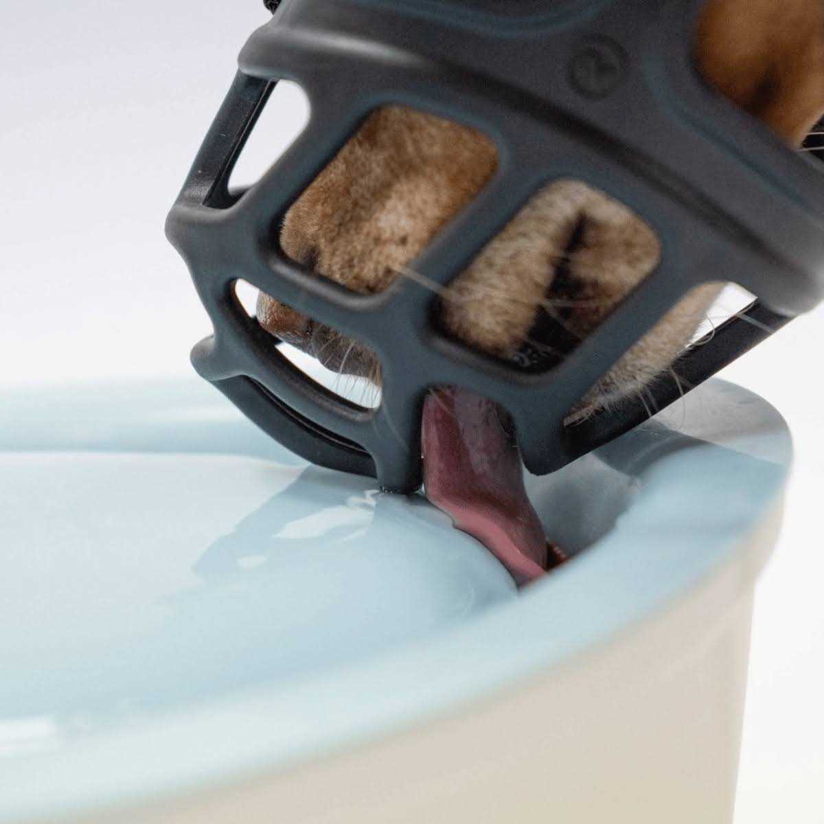 Dog Muzzle M696