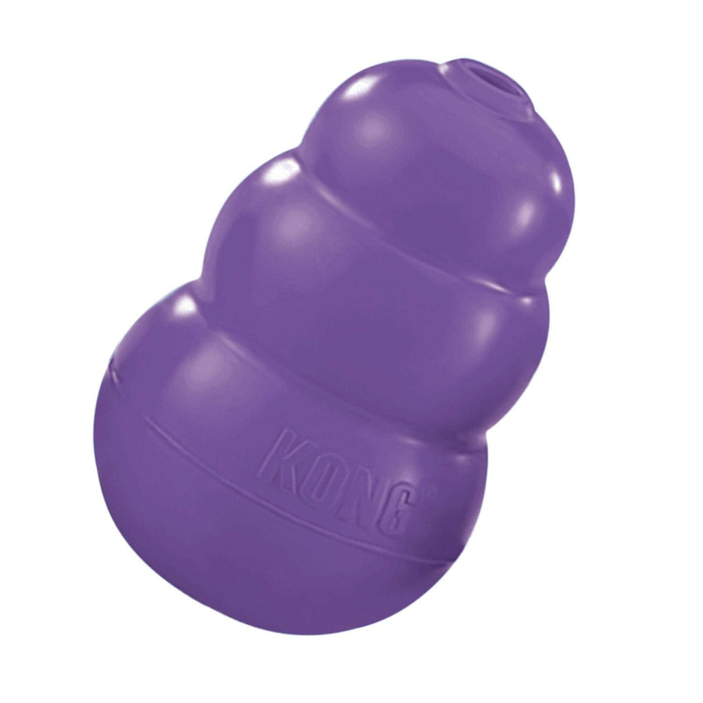Senior Dog Toy X757792