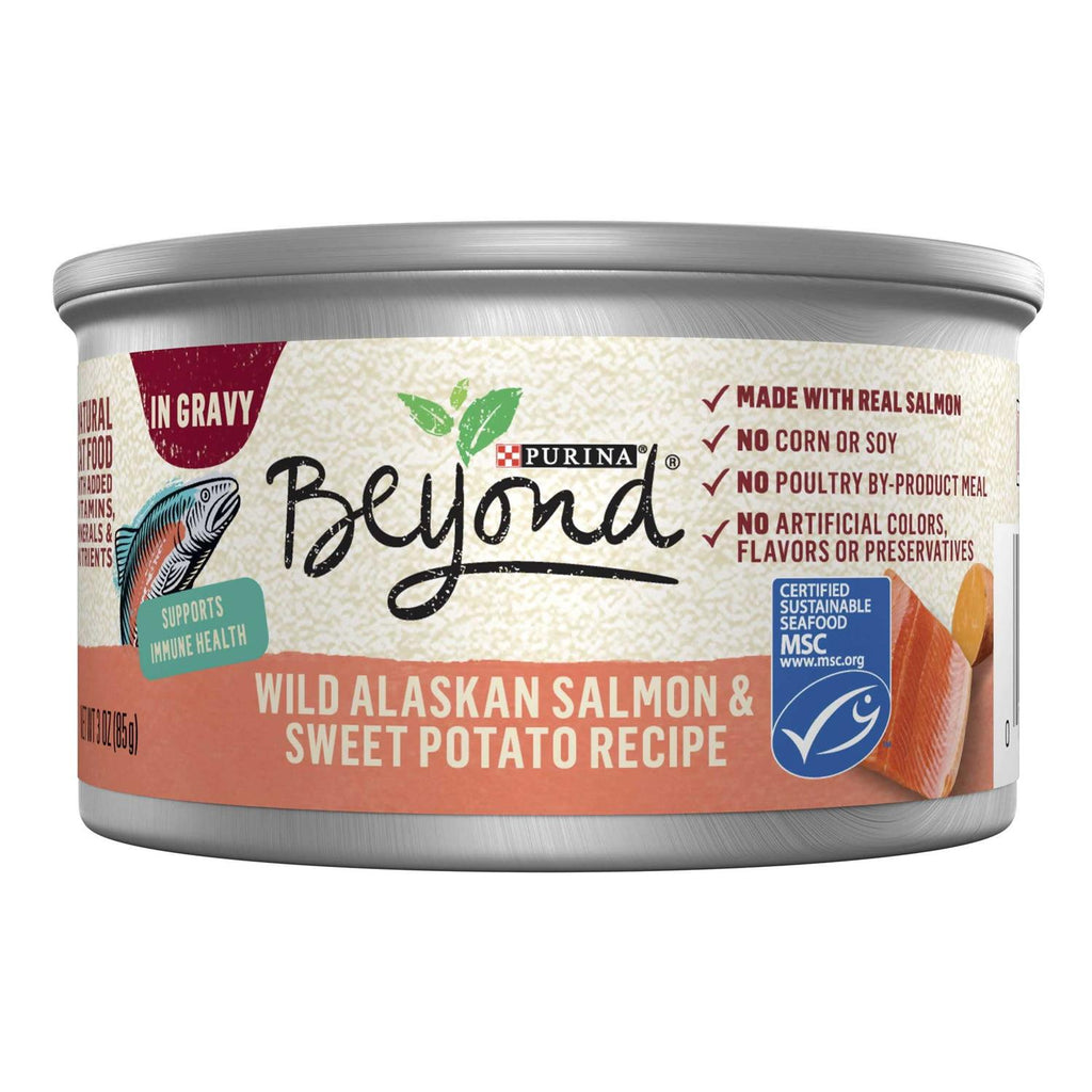 Grain Free Salmon & Sweet Potato Cat Food C8338