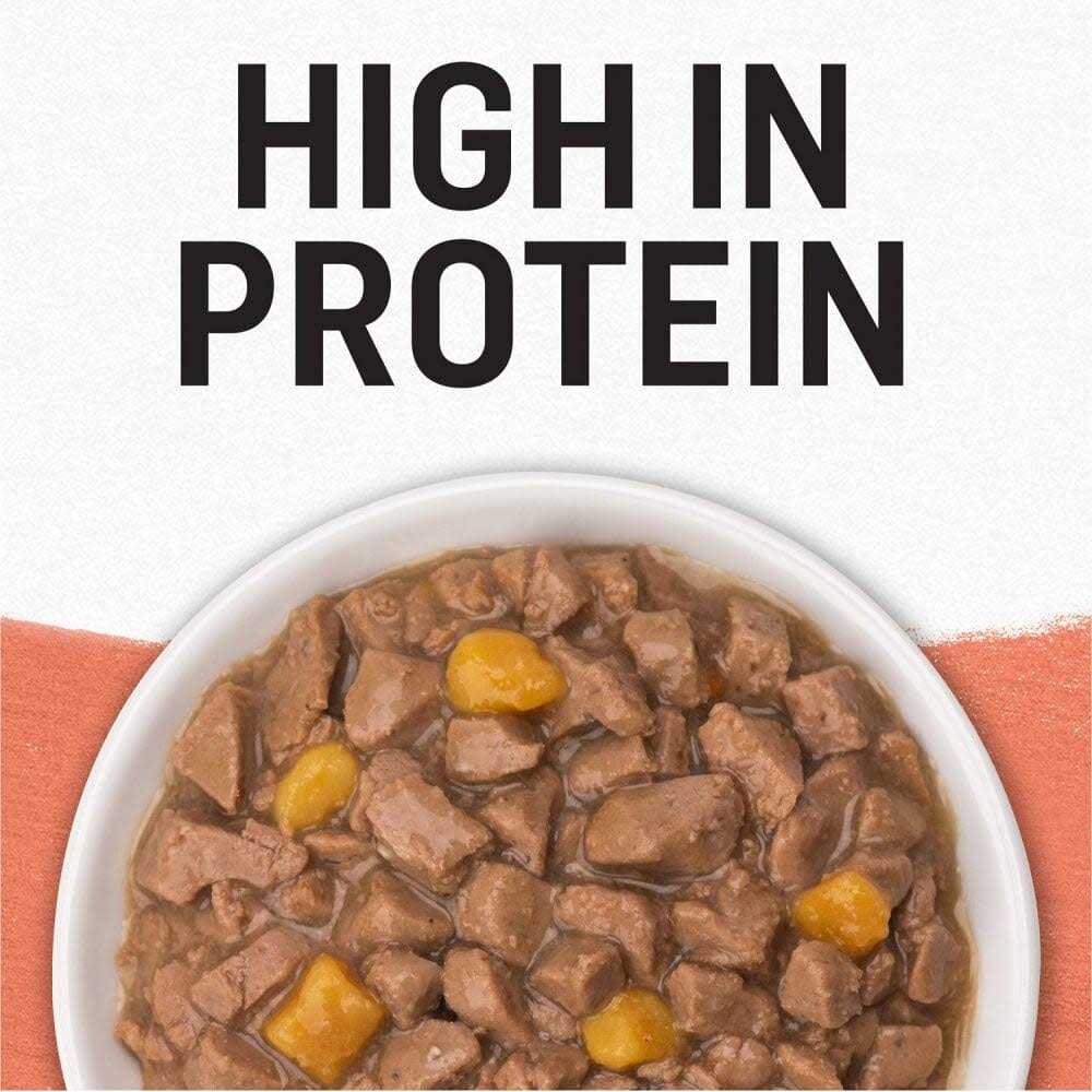 Grain Free Salmon & Sweet Potato Cat Food C8338