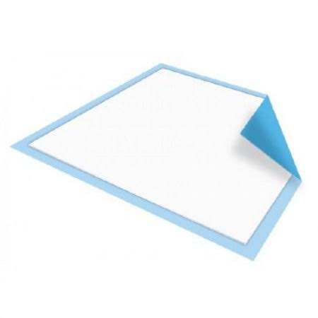 Absorbent Pads 4 Pack 100 Count W637173