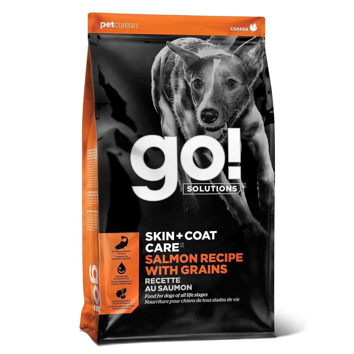 Salmon Recipe Dry Dog Food L60414