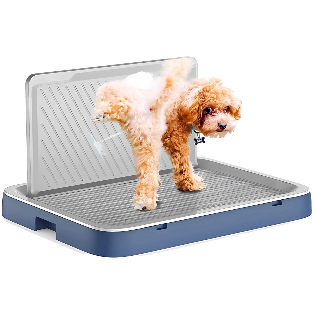 Pee Pad Tray for Small Dogs Y660