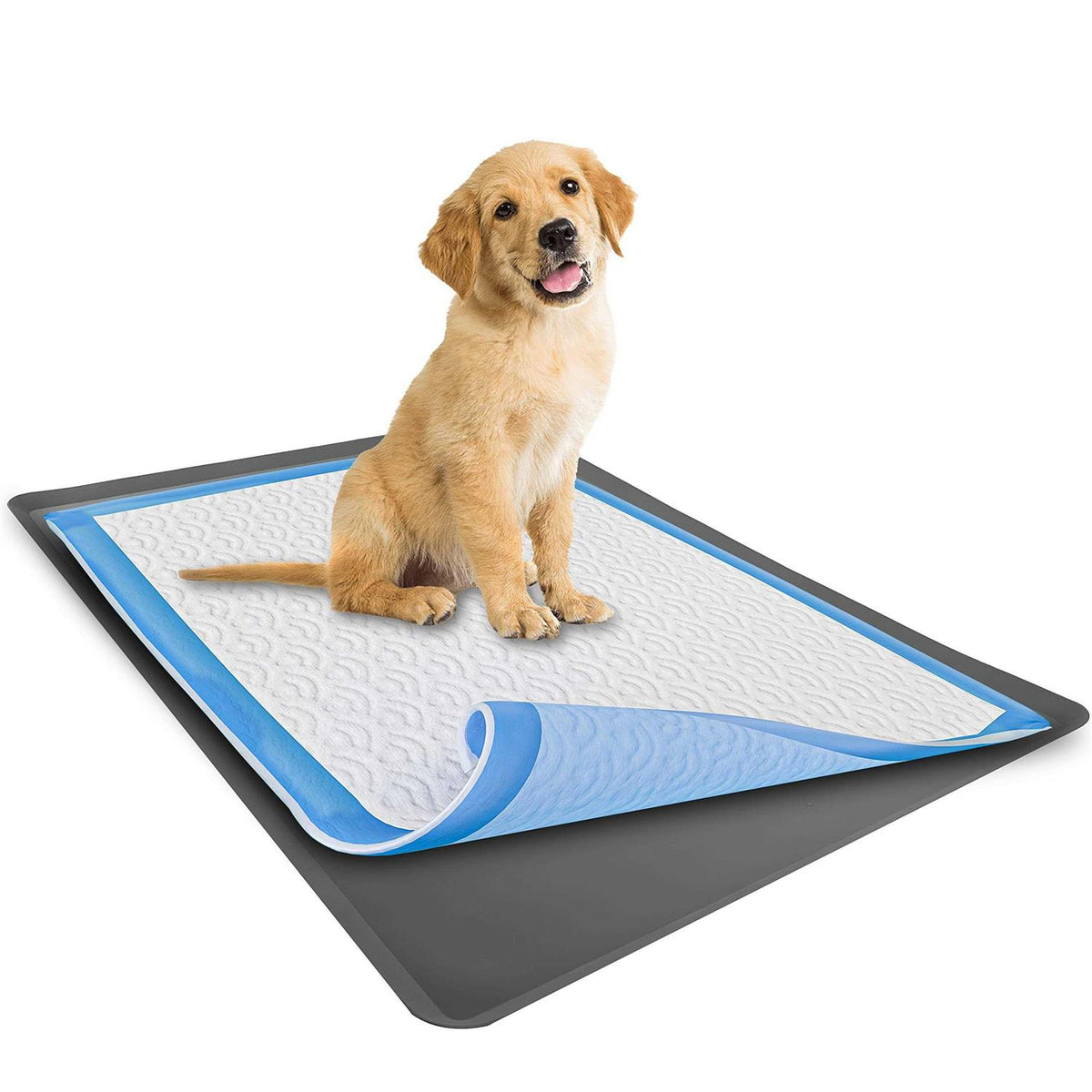 Puppy Pad Holder Tray No Spill K587