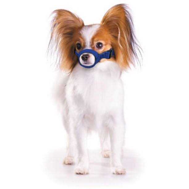 Quick Muzzle D5302