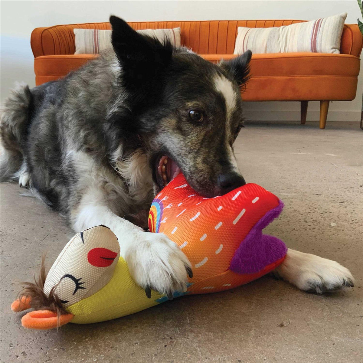 Dog Toy T260350
