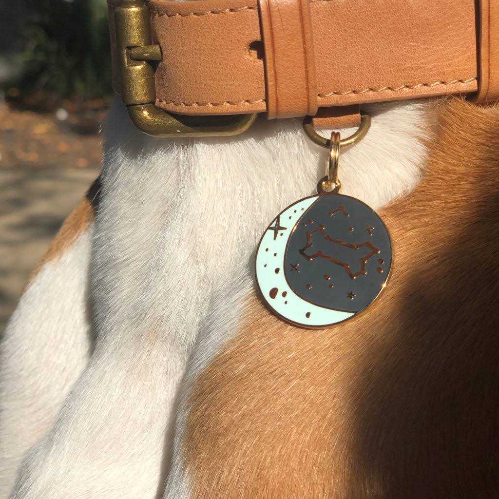 Zodiac Pet ID Tag X929