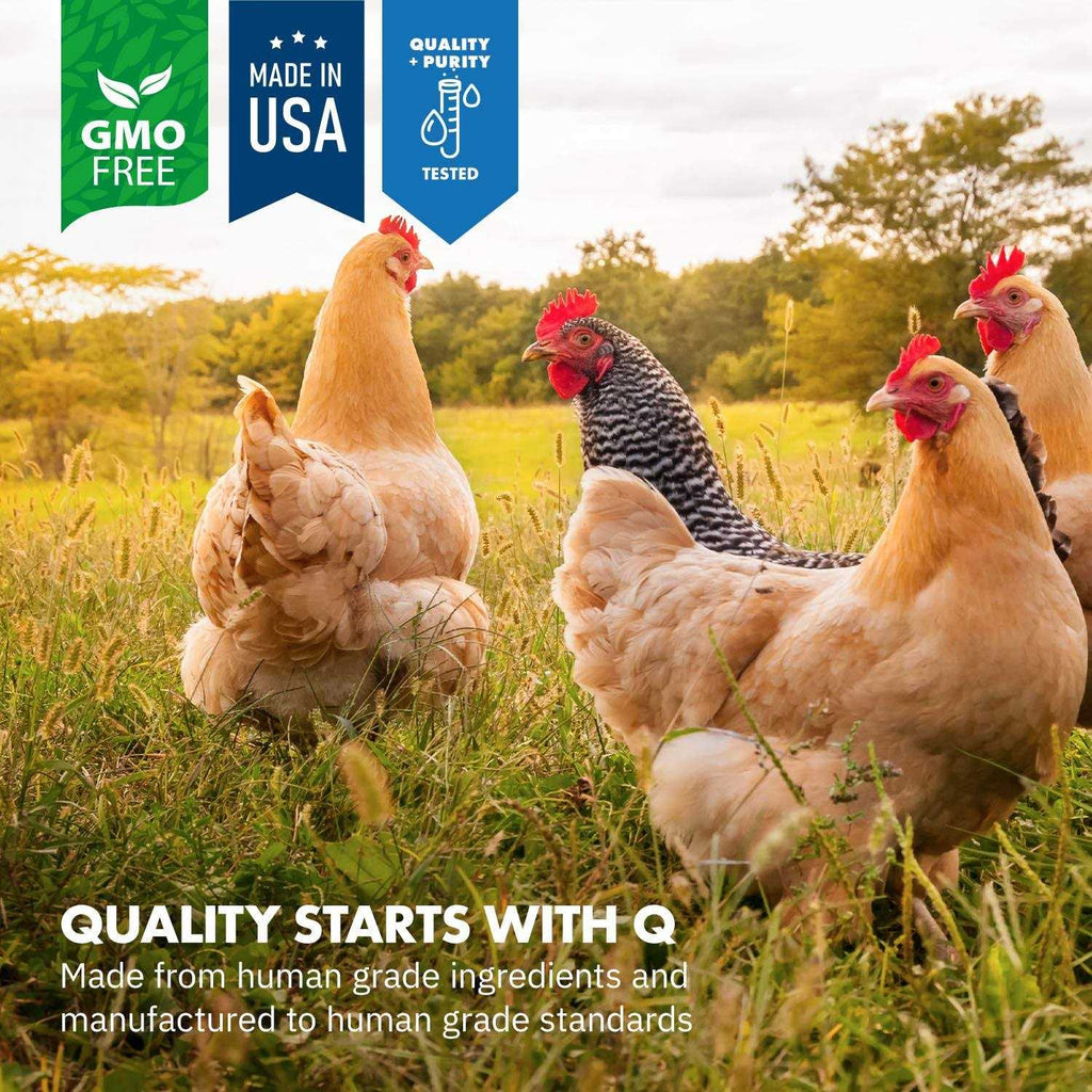 Probiotics for Chickens & Poultry H48295