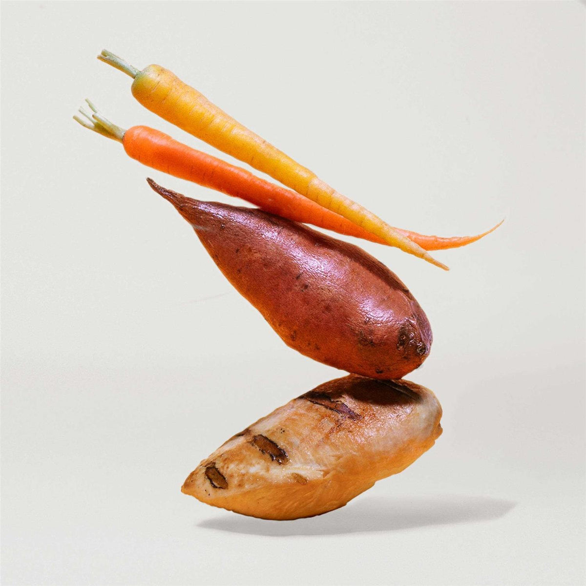 Chicken Sweet Potato & Carrot Dry Dog Food M16567