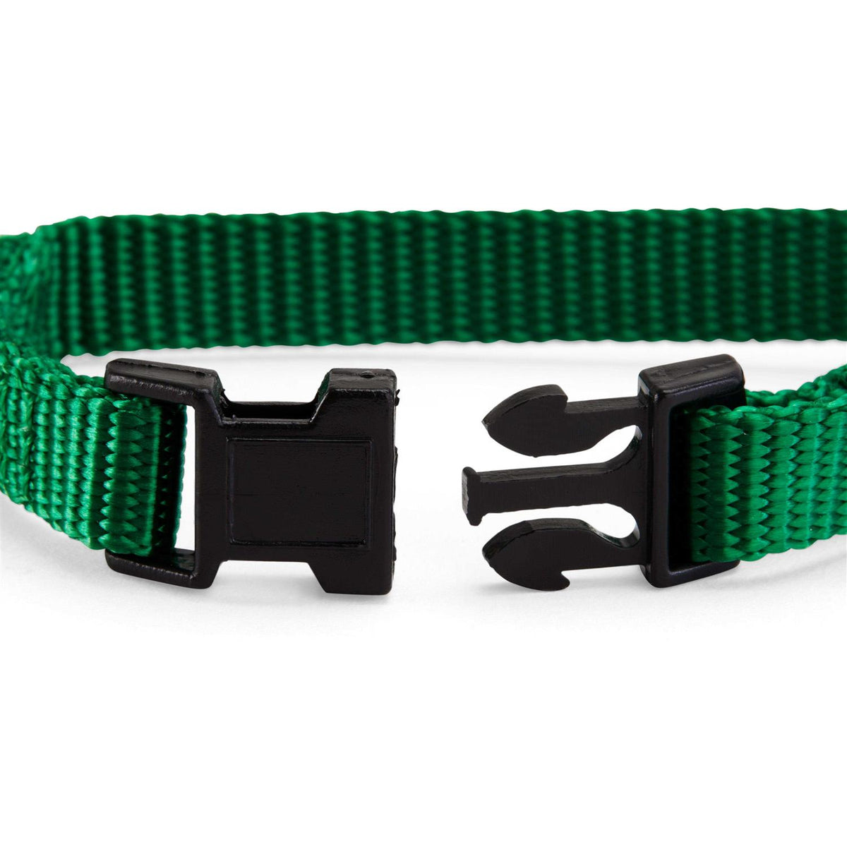 Assorted Ferret Collar with Bell E6648