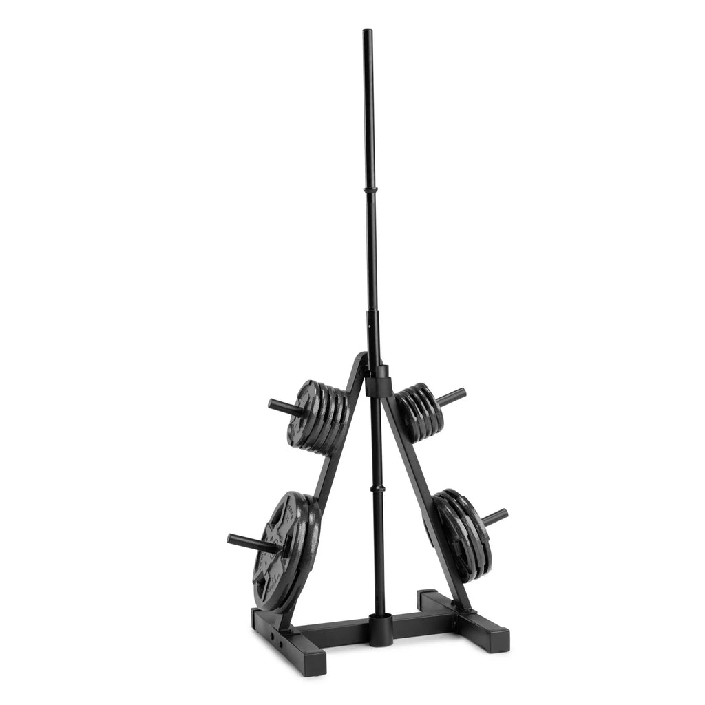 Weight Plate Tree Rack B599