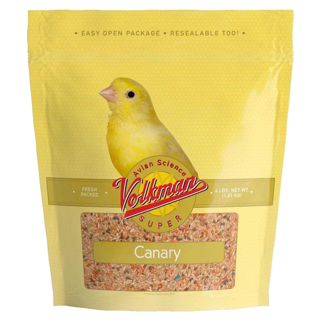 Canary Seed S2213
