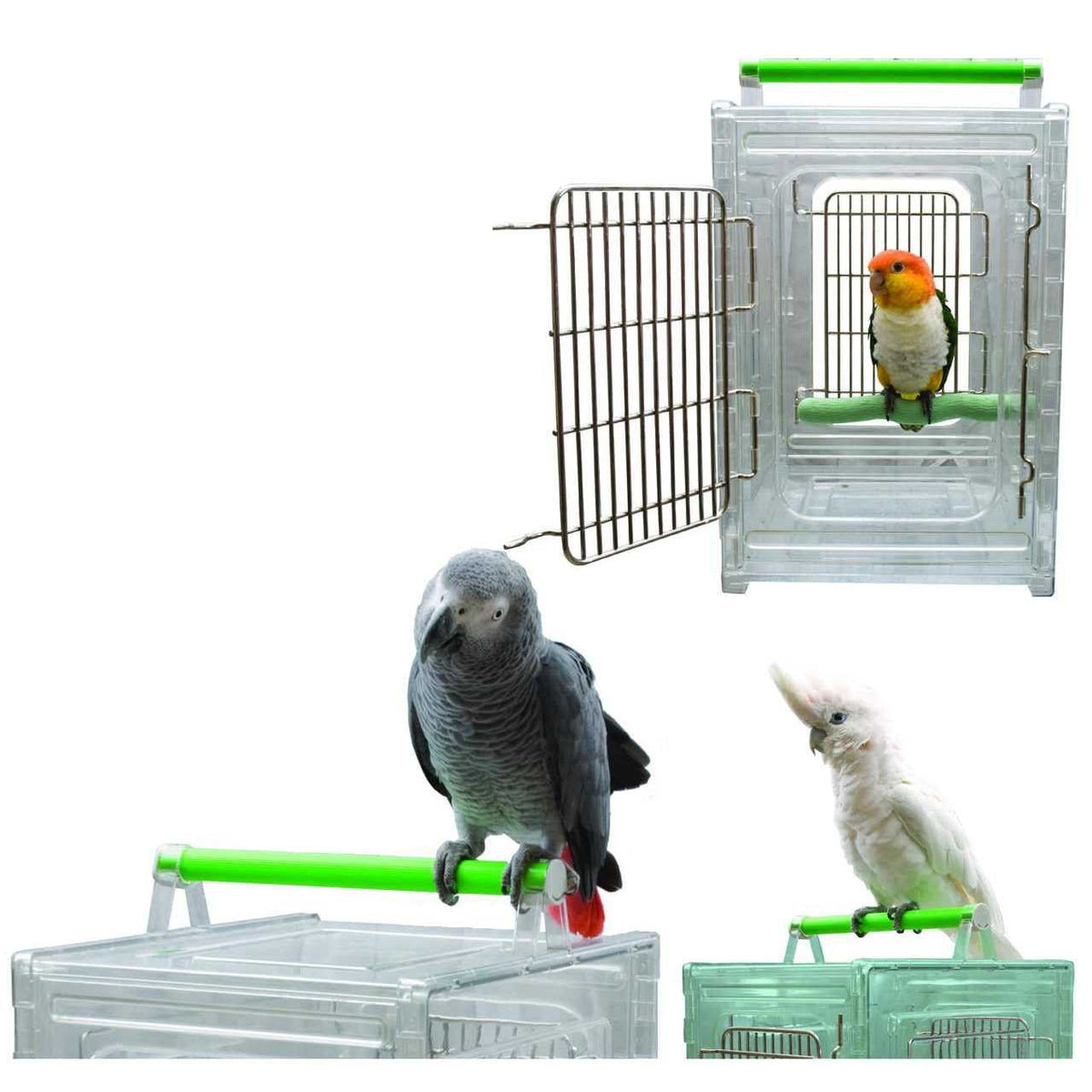 Bird Carrier B4668