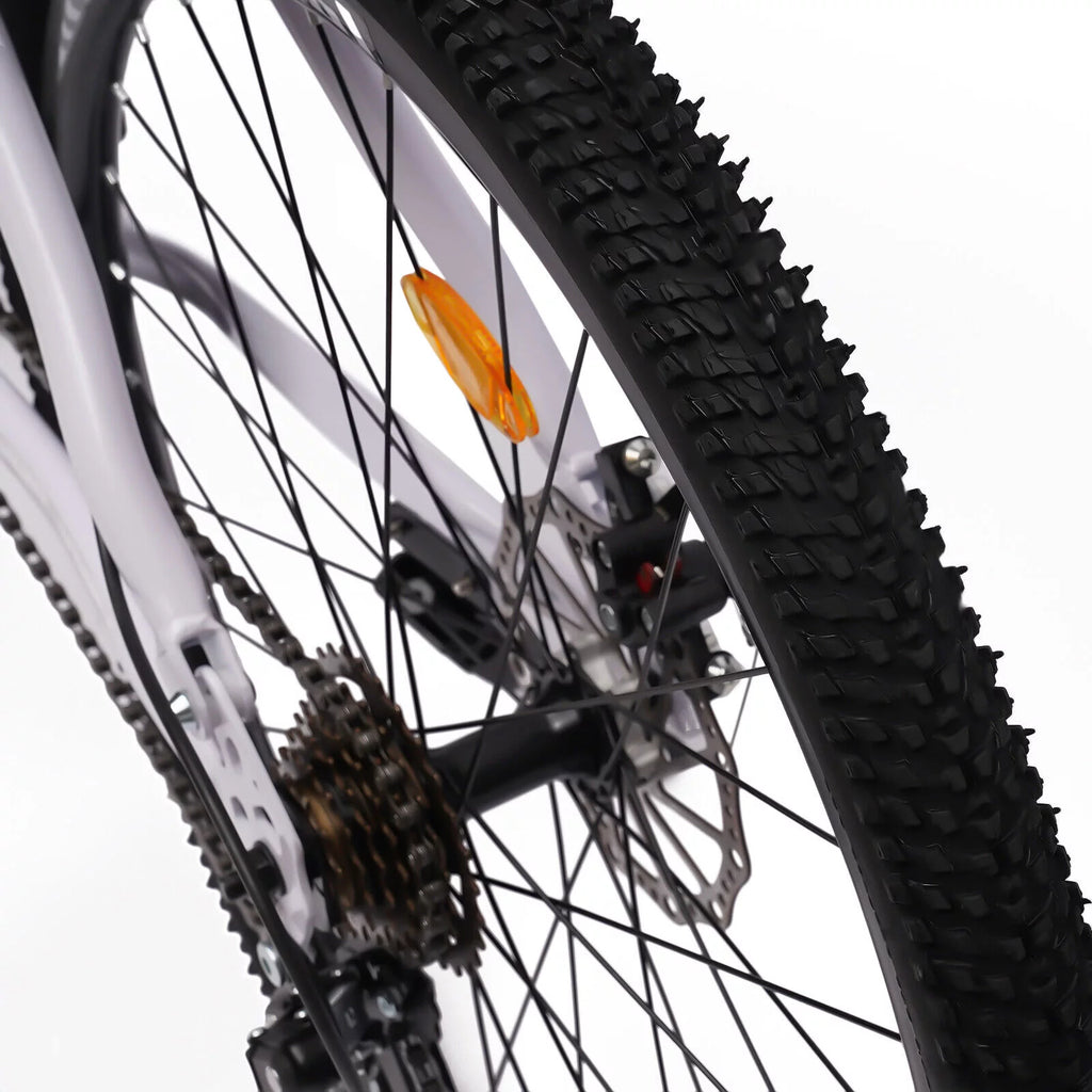 26 inch 21 Speed Full Suspension Folding Mountain Bike X719