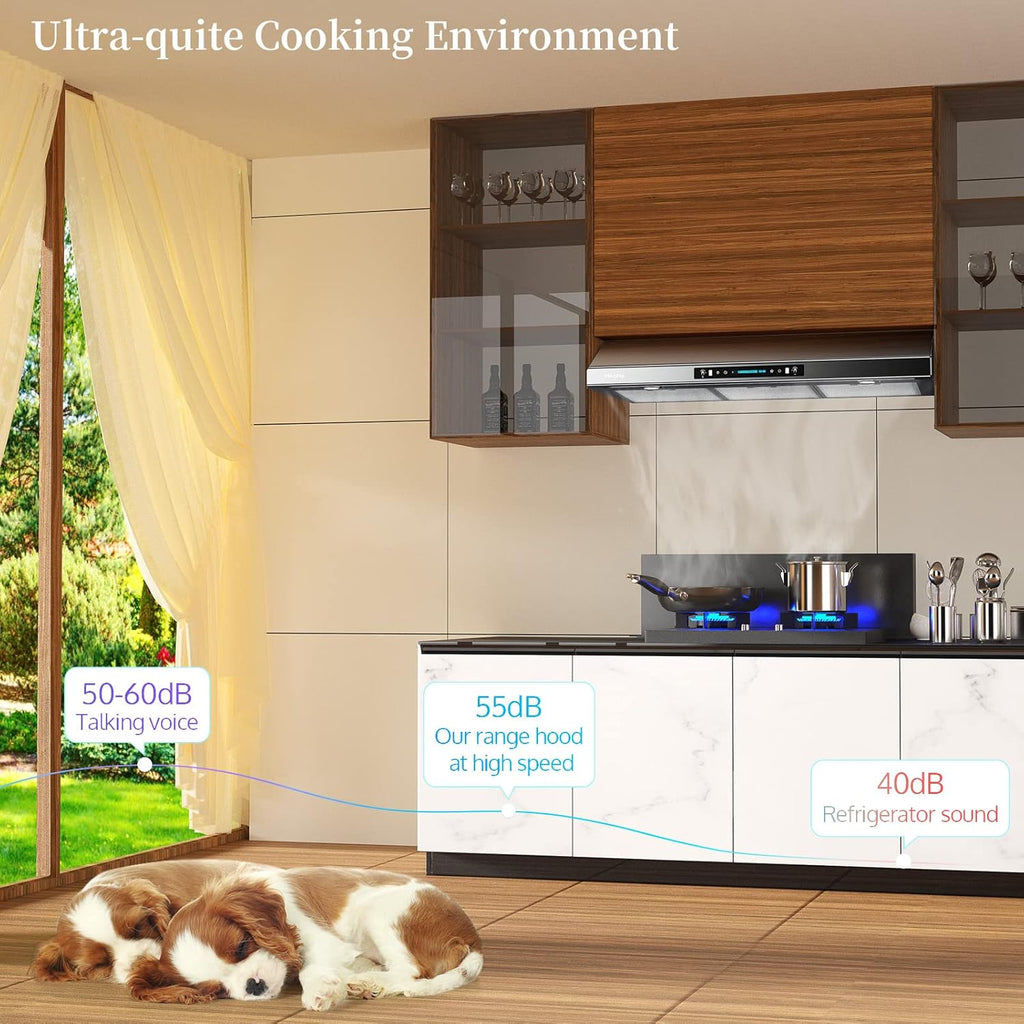 36 Inch Stainless Steel Under Cabinet Range Hood P567