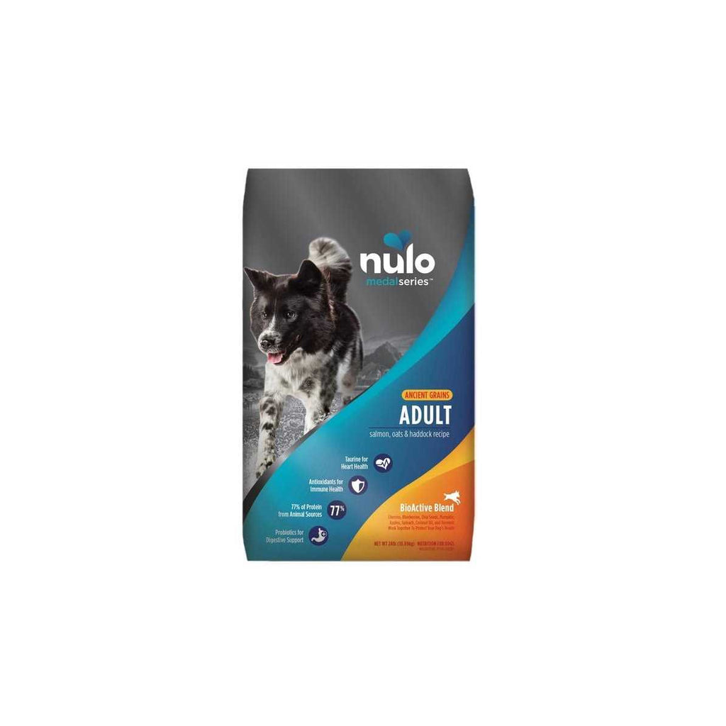 Salmon Dry Dog Food R8427