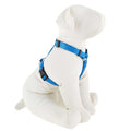 Dog Harness M47148