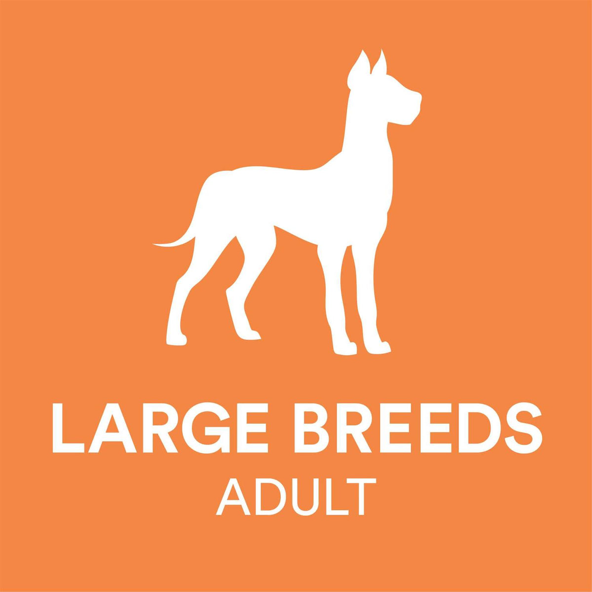 Chicken & Brown Rice Recipe Dry Dog Food J24036