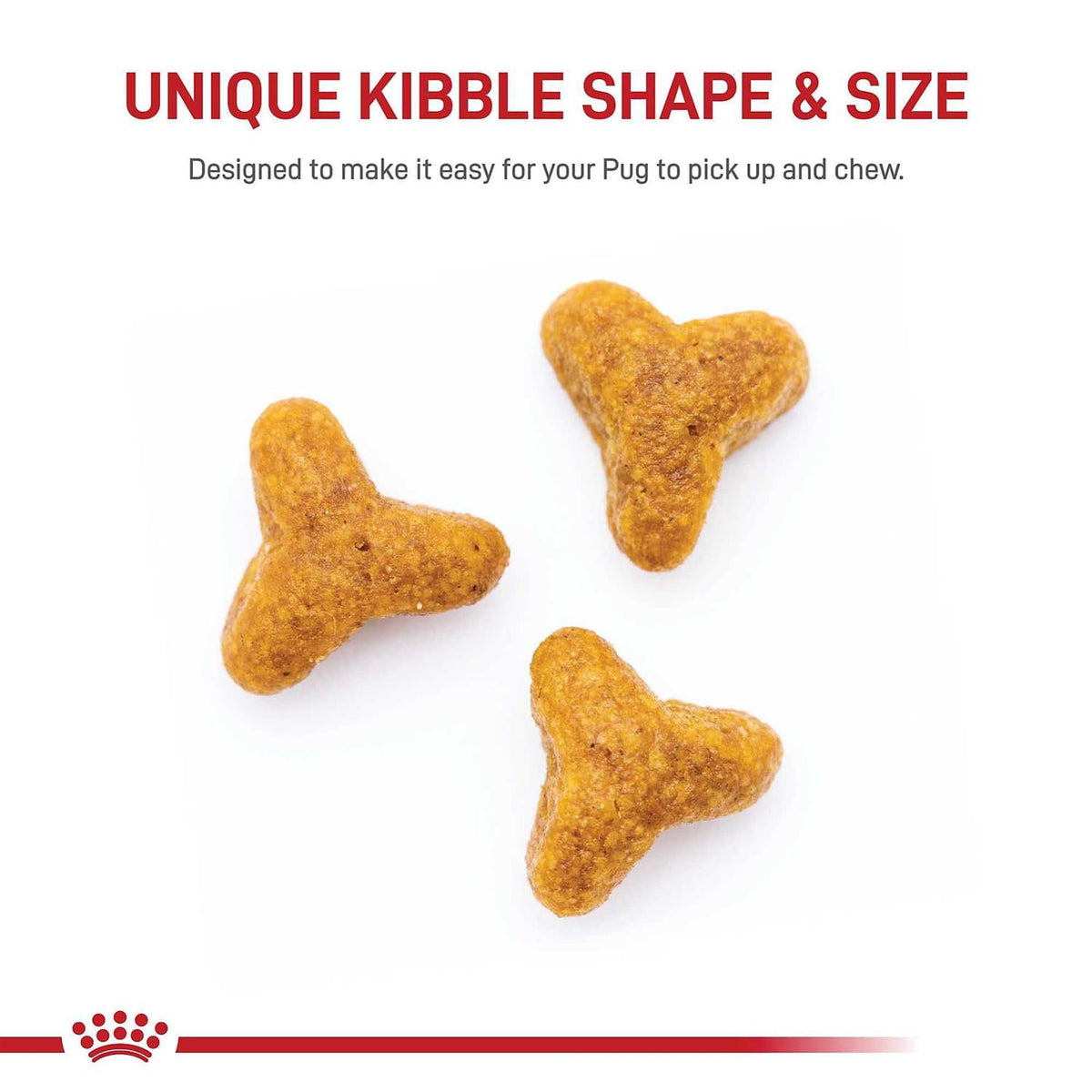 Adult Dry Dog Food R669