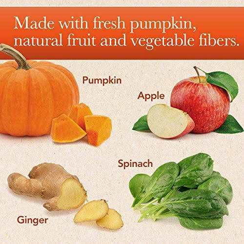 Pumpkin Puree Digestive Supplement for Cats & Dogs E581