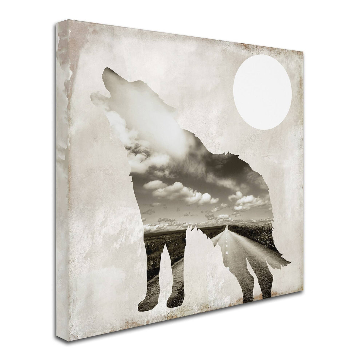 Color Bakery Going Wild IV Canvas Z633027