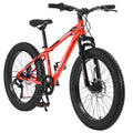 24 inch Fat Tire Mountain Bike, 7 Speeds, Dual Disc Brake, Orange B90532