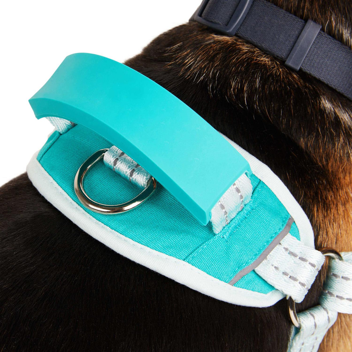 Easy On Training Dog Harness O29943