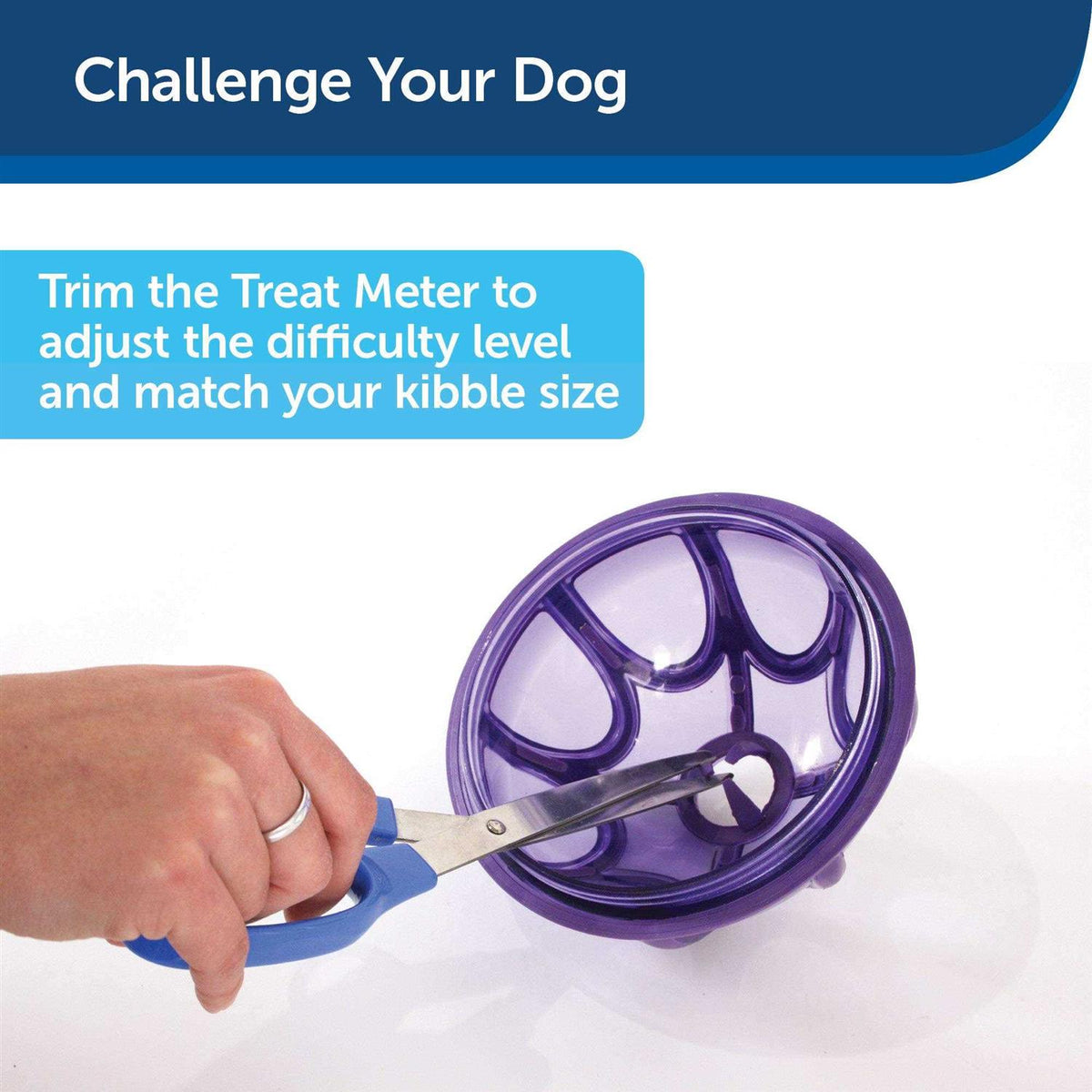 Kibble Nibble Dog Toy P2521