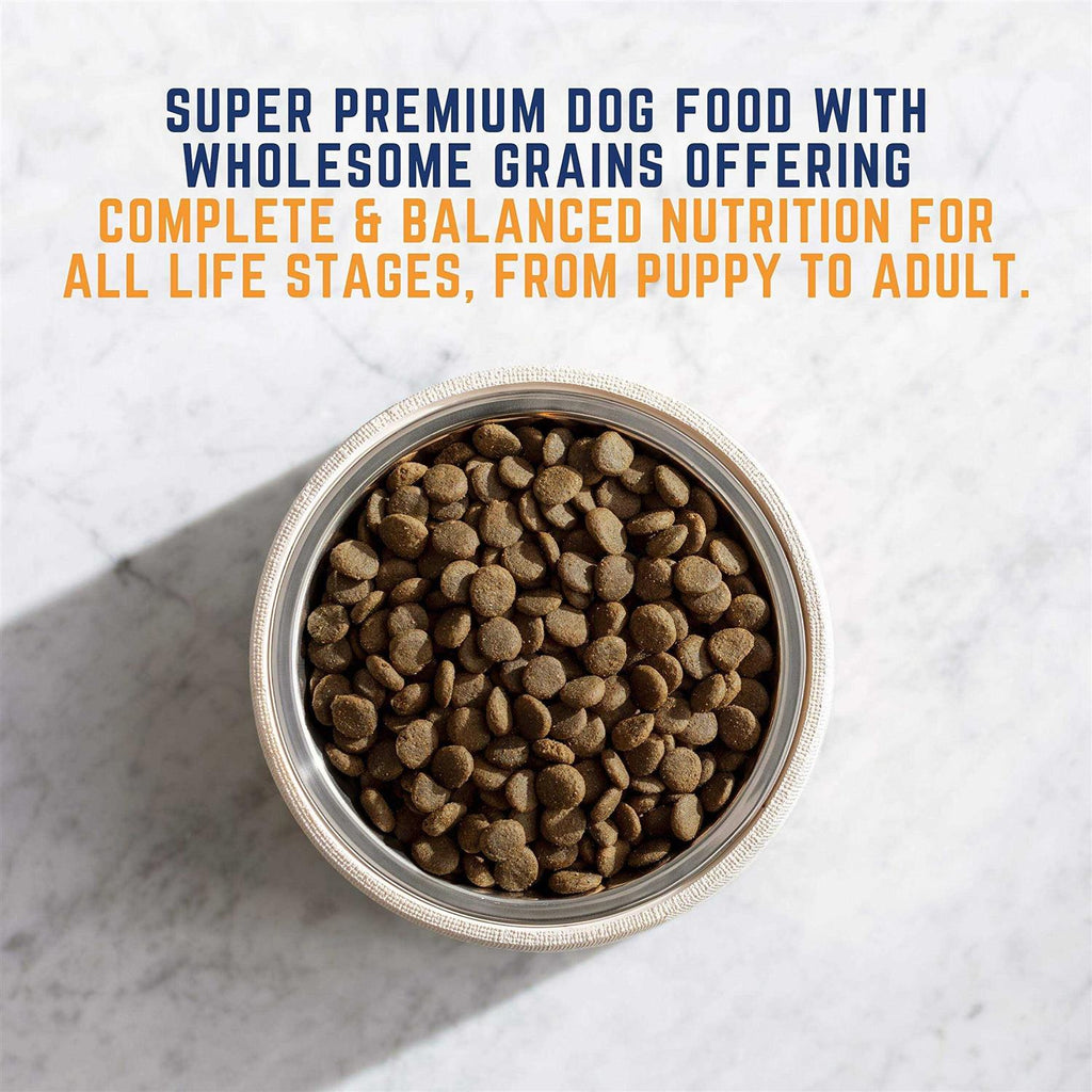 Chicken & Barley Dry Dog Food X92019