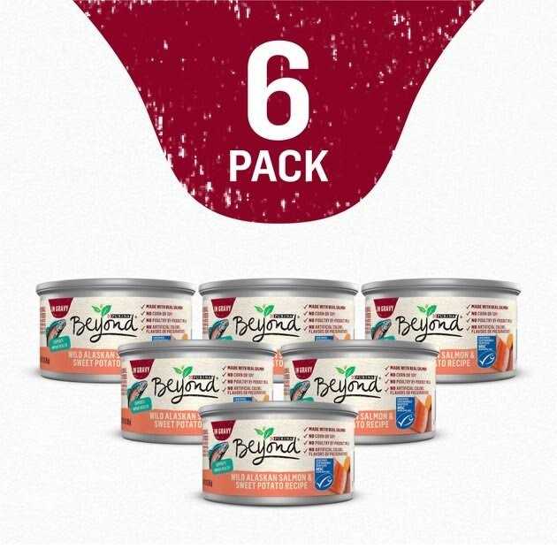 Grain Free Salmon & Sweet Potato Cat Food C8338