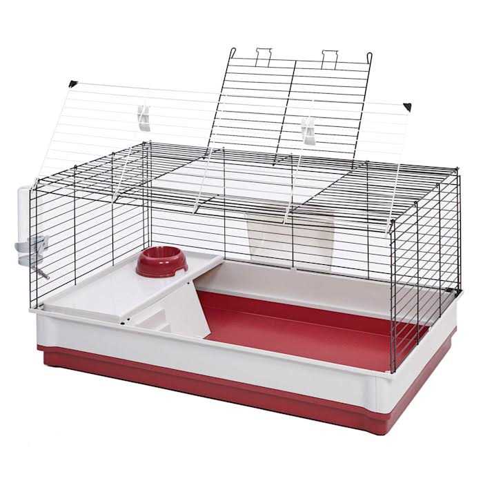 Rabbit Home G7355