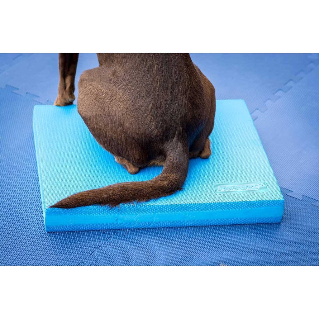 Balance Pad N55159