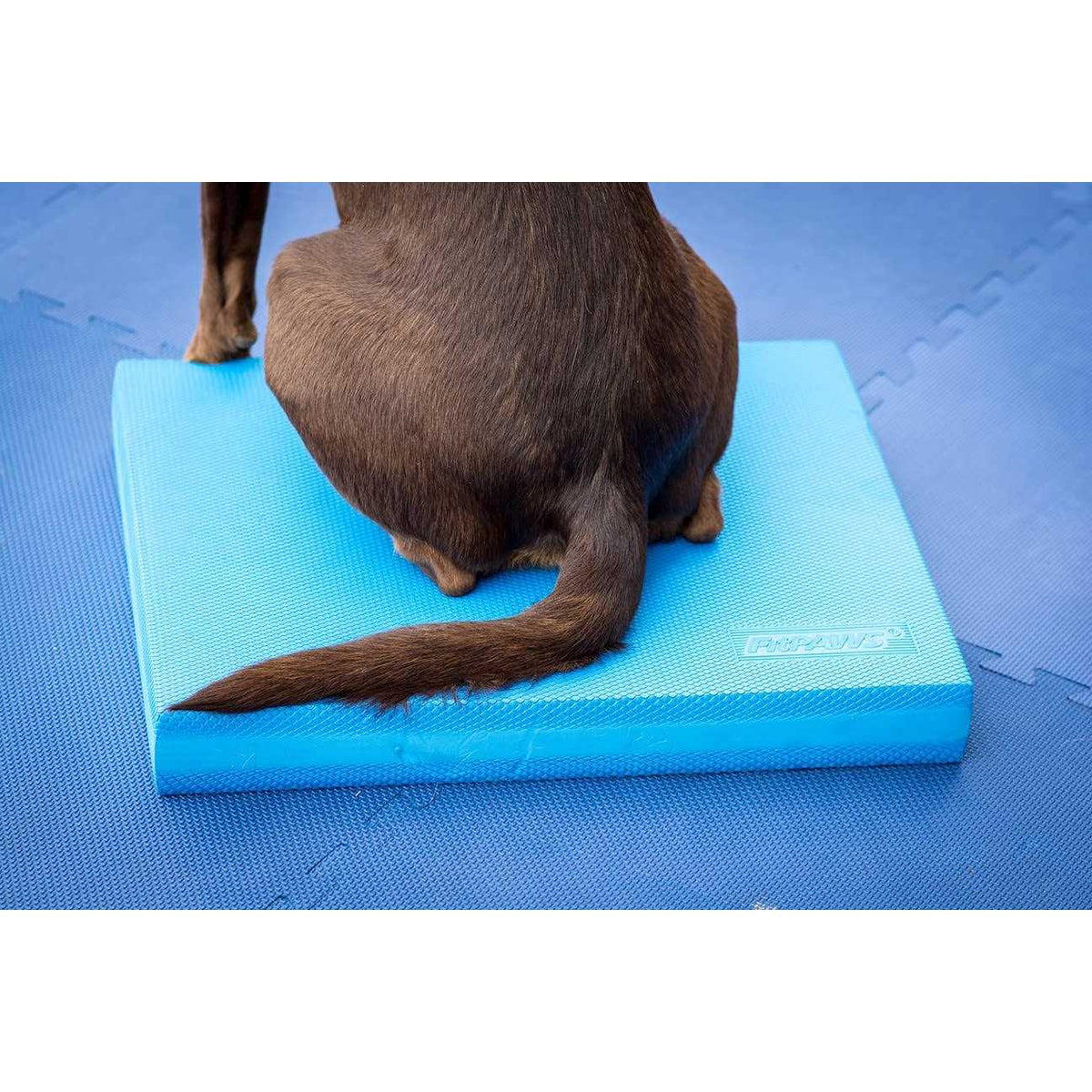 Balance Pad N55159