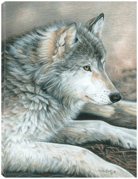 Canvas Art 24x32 O33737