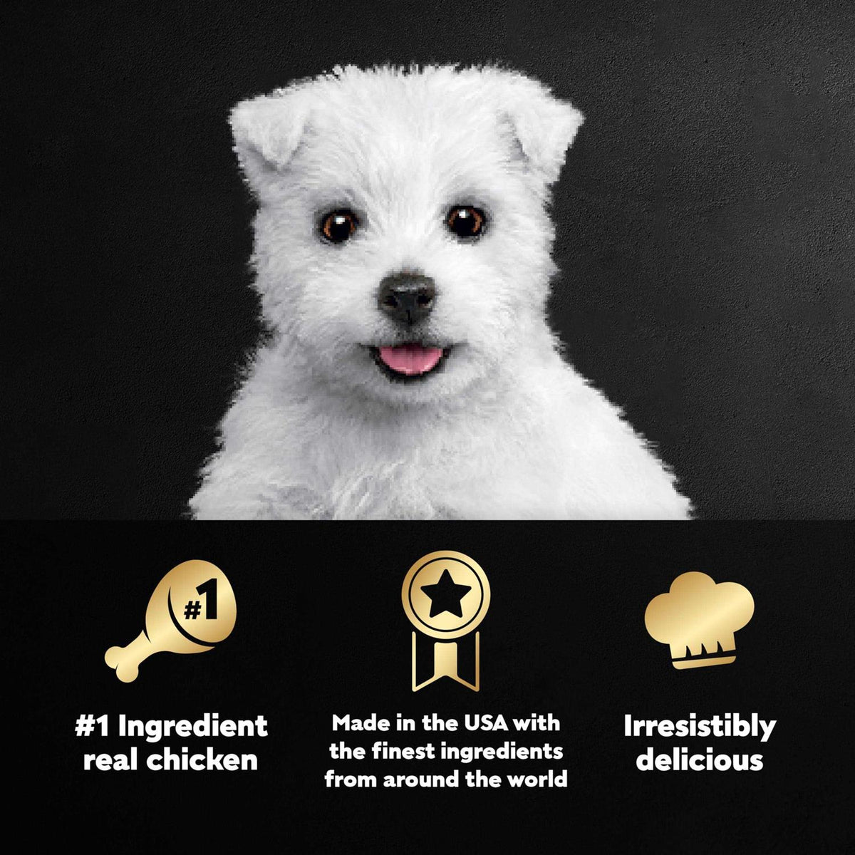Chicken & Beef Recipe Wet Dog Food L7448