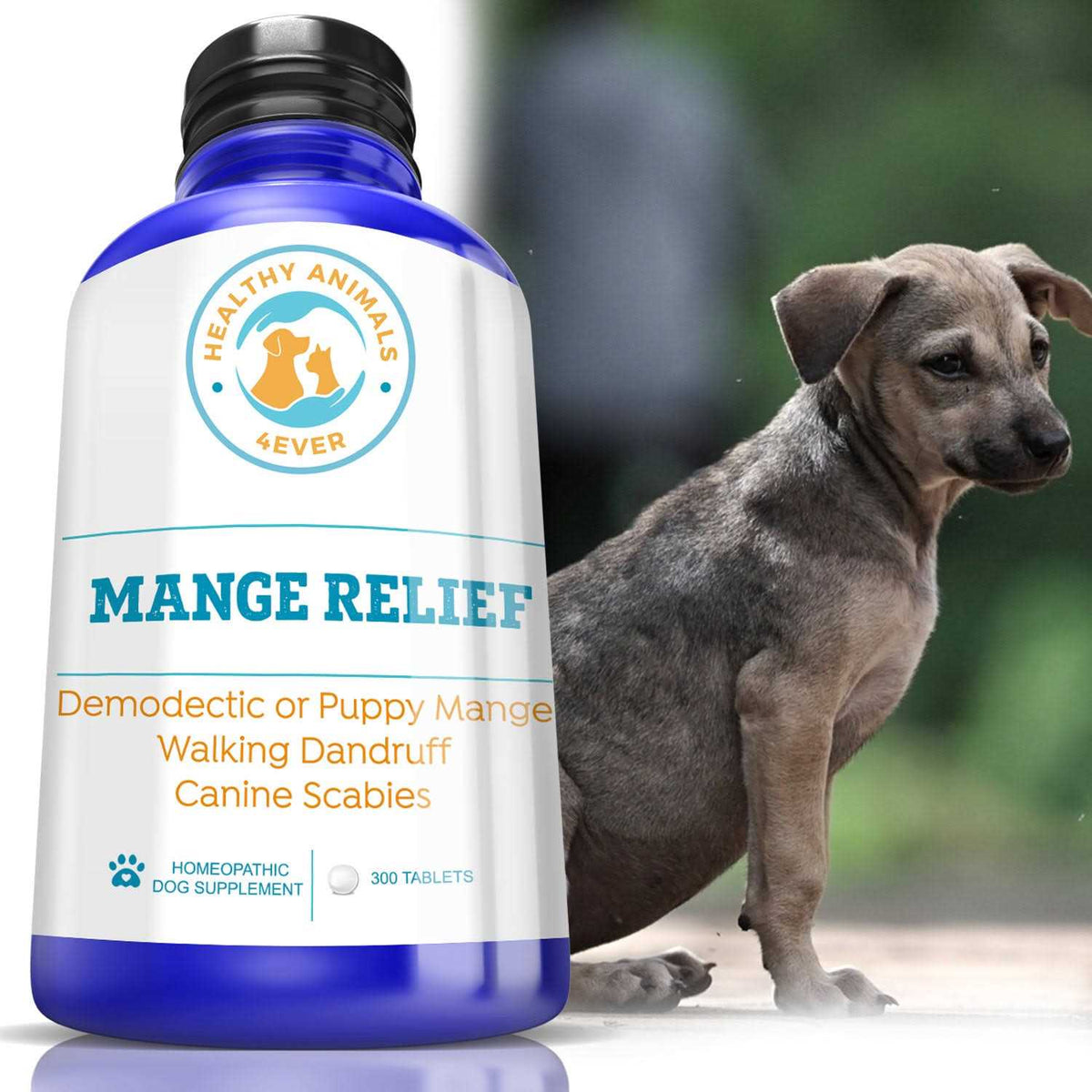 Dog Itchiness Relief Treatment C140849