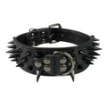 Leather Dog Collar 2 Inch X1490
