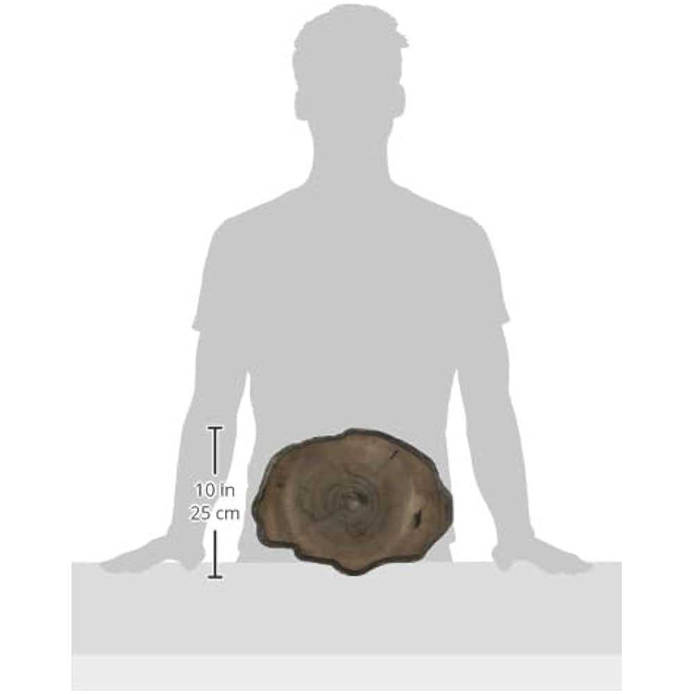 Reptile Food Dish K989447