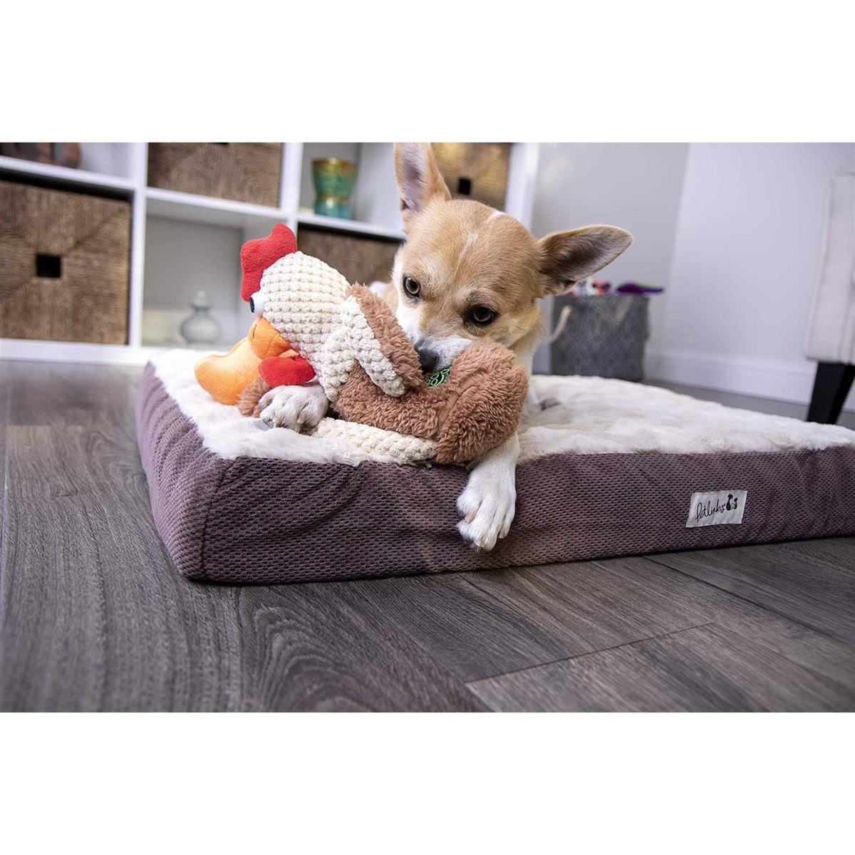 Skinny Rooster Dog Toy R678385